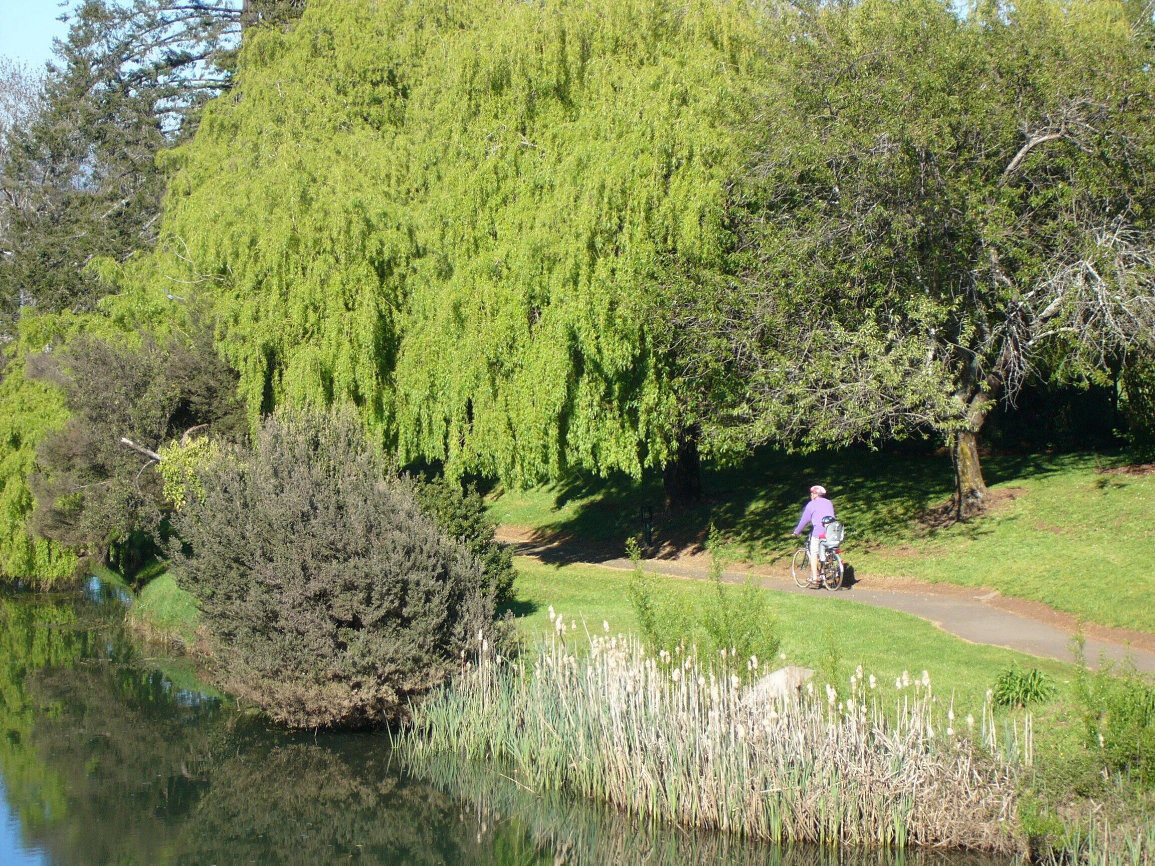 Cosy Original Miners Cottage - Magnificent views of the Great Western Tiers — image 15