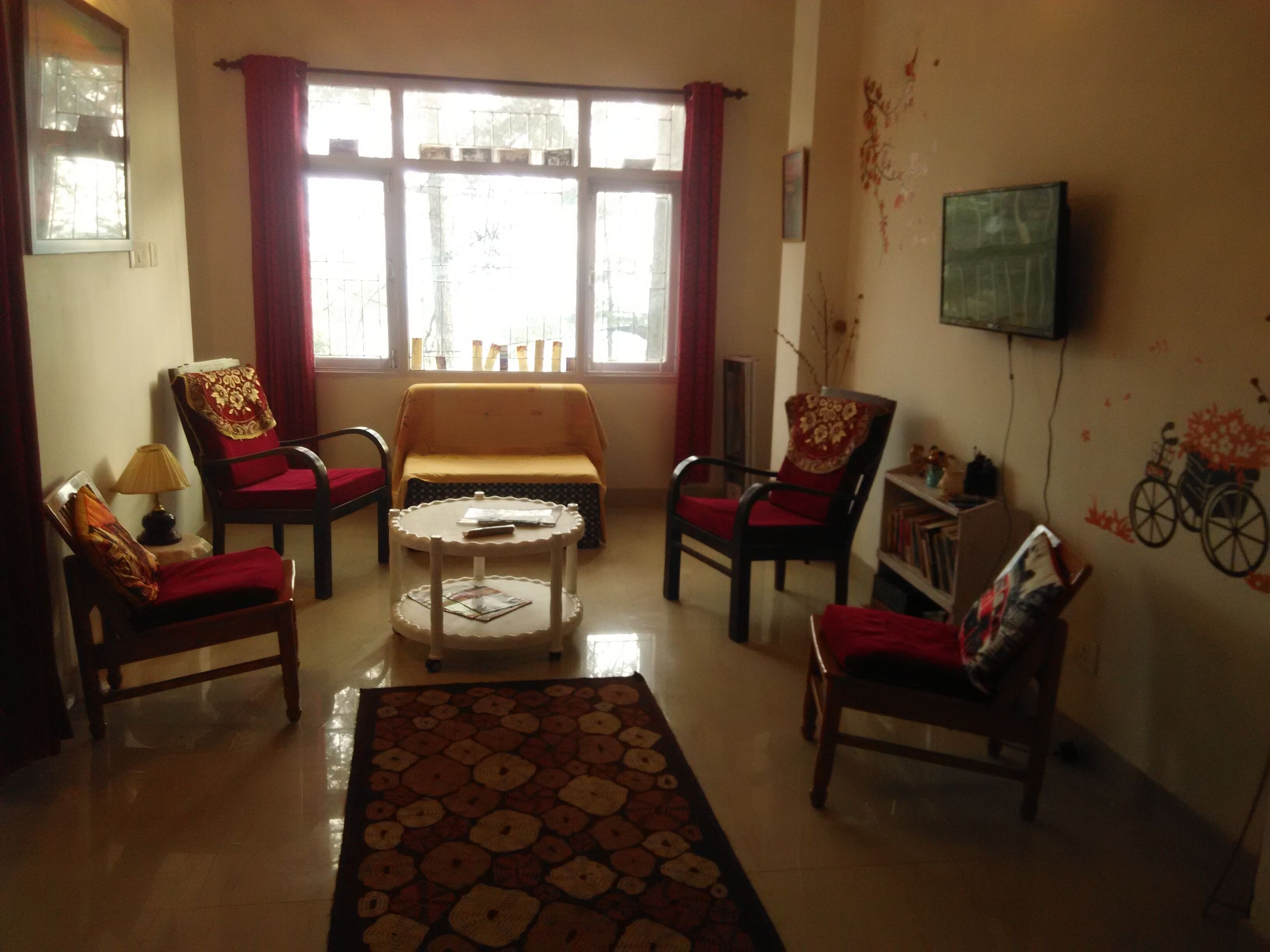 JUNGLE IN THE BACKYARD, MOUNTAIN VIEW IN FRONT