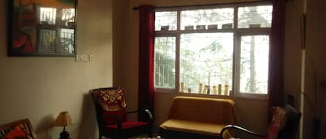TV, books, music library