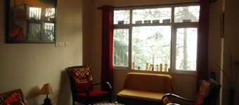 JUNGLE IN THE BACKYARD, MOUNTAIN VIEW IN FRONT