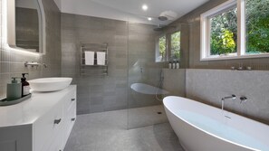 Shower, hair dryer, towels