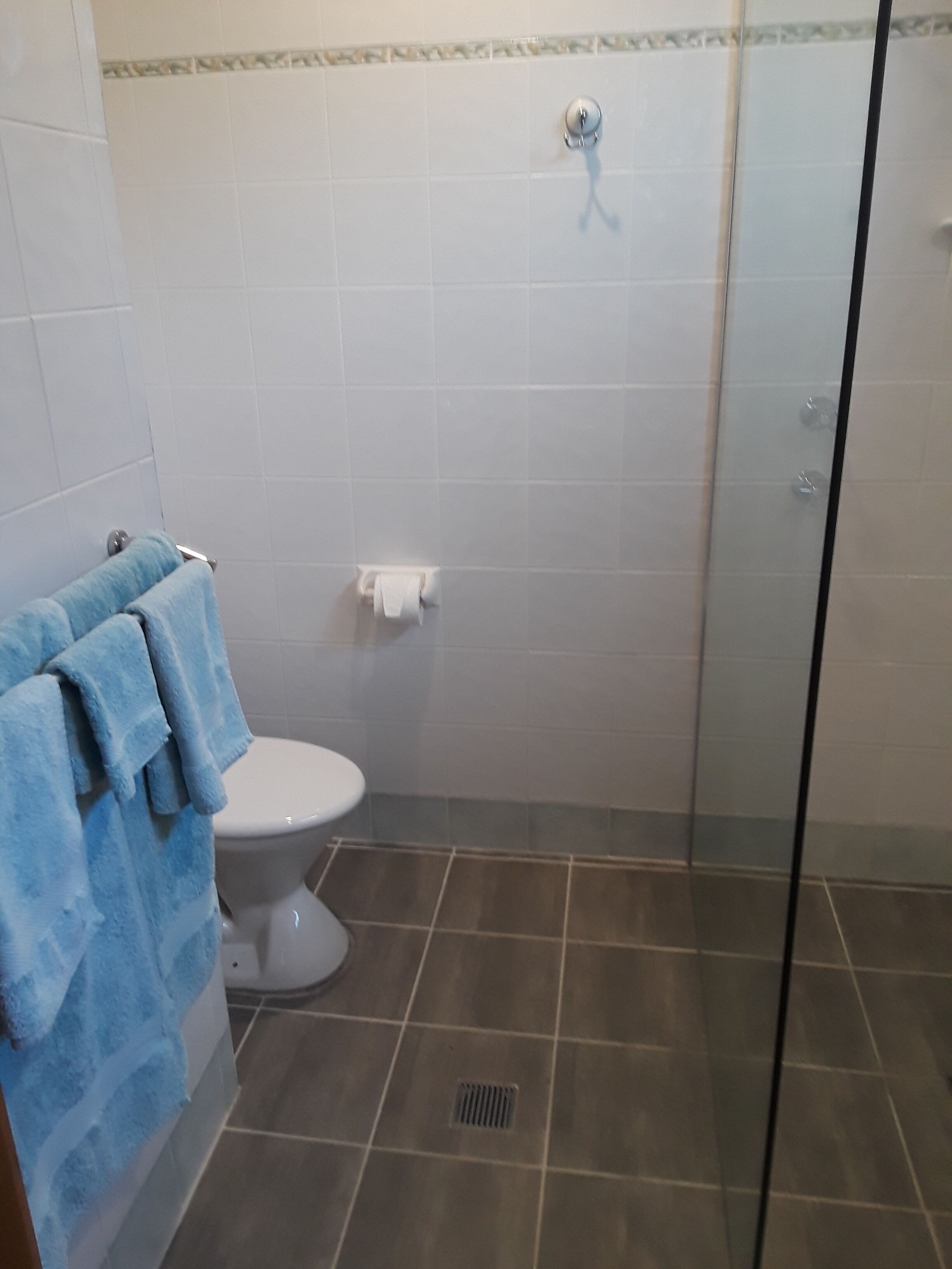 Rockwall Avoca Beach