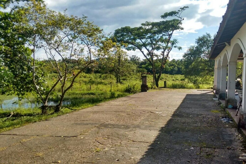 Nature and Welfare