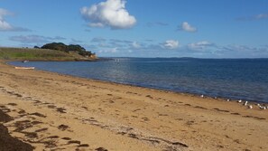 On the beach, sun-loungers - Quiet beachside getaway on foreshore (Coronet Bay)
