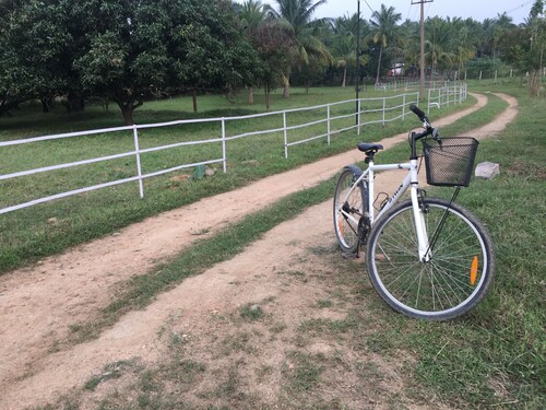 Tranquility and fresh air amidst  greenery