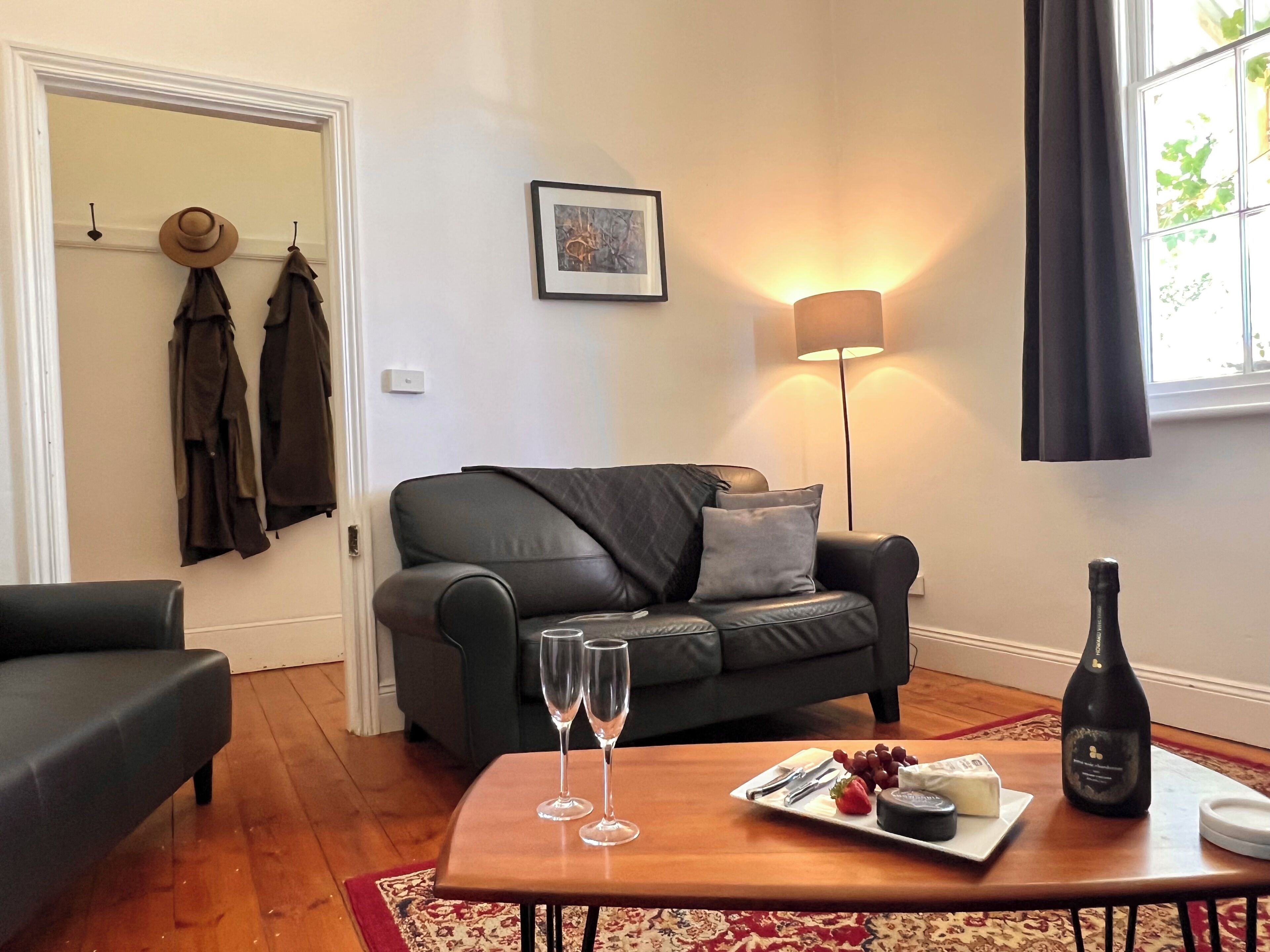 Smart TV, fireplace, Netflix, books