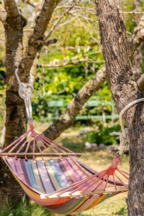 A hammock suspended from a tree in a natural setting.