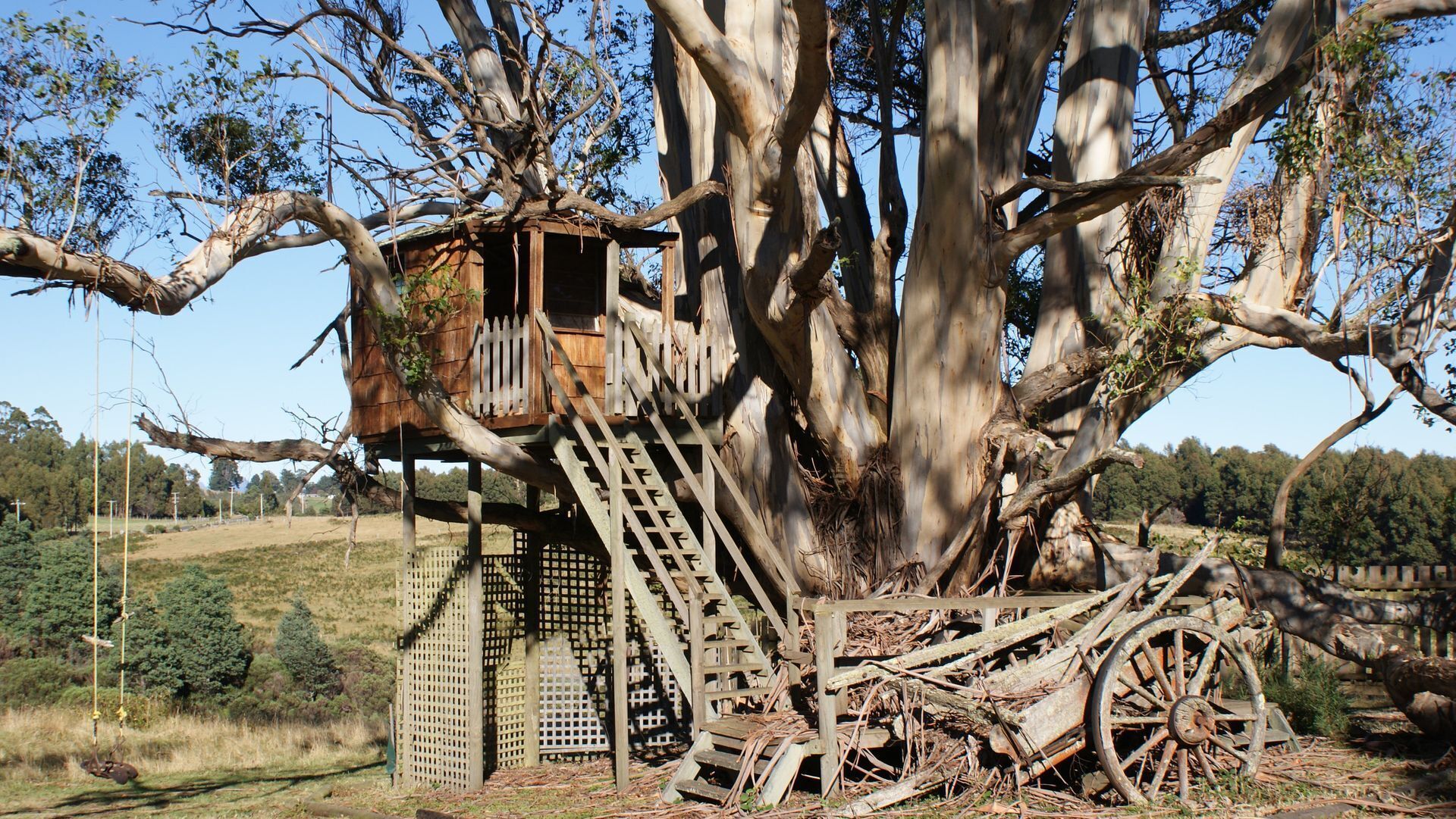 AAA Granary Accomm - T-tree 3 bedroom Cottage — image 11