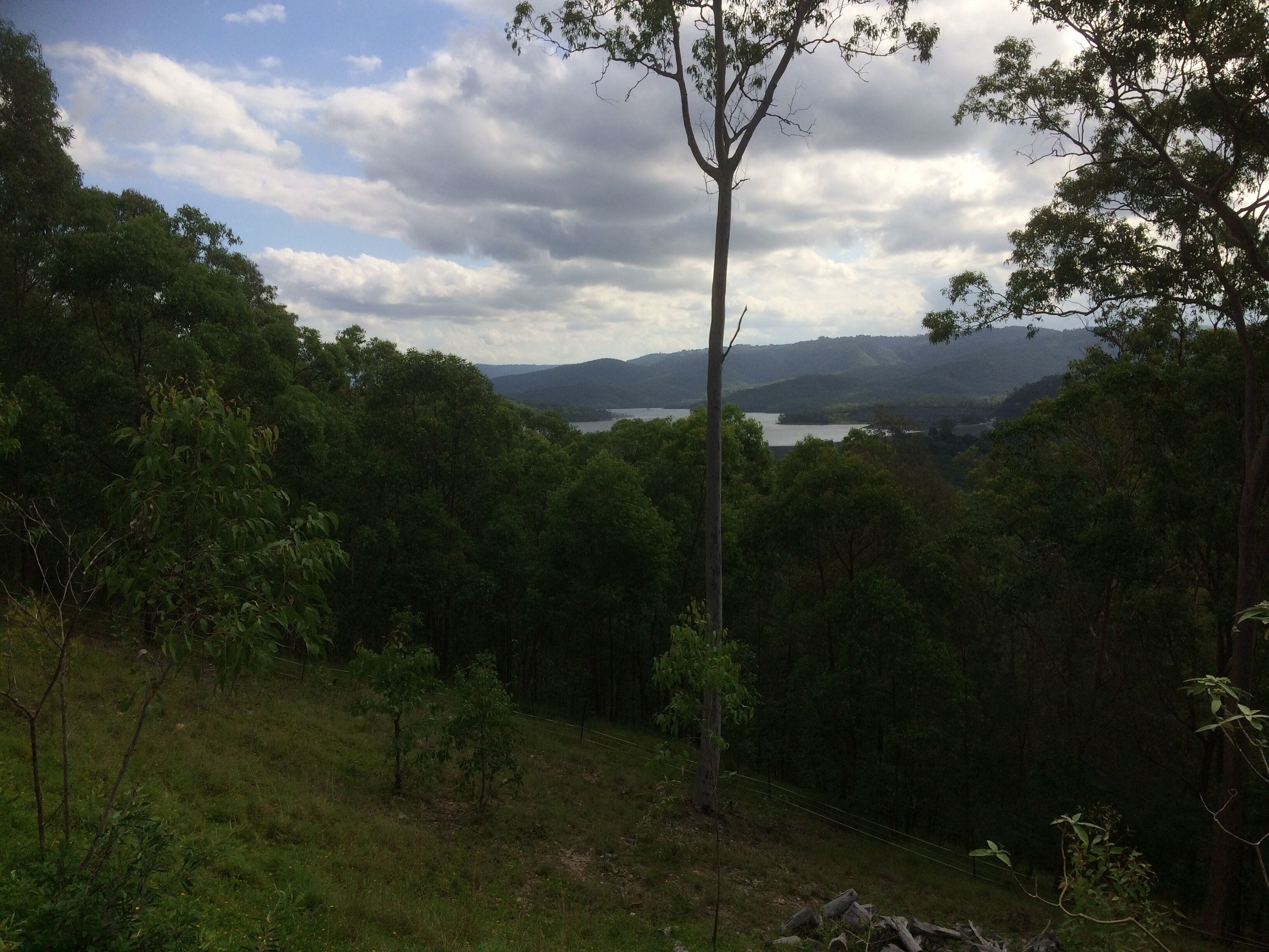 "Windarra" Friendly hobby farm close to amenities