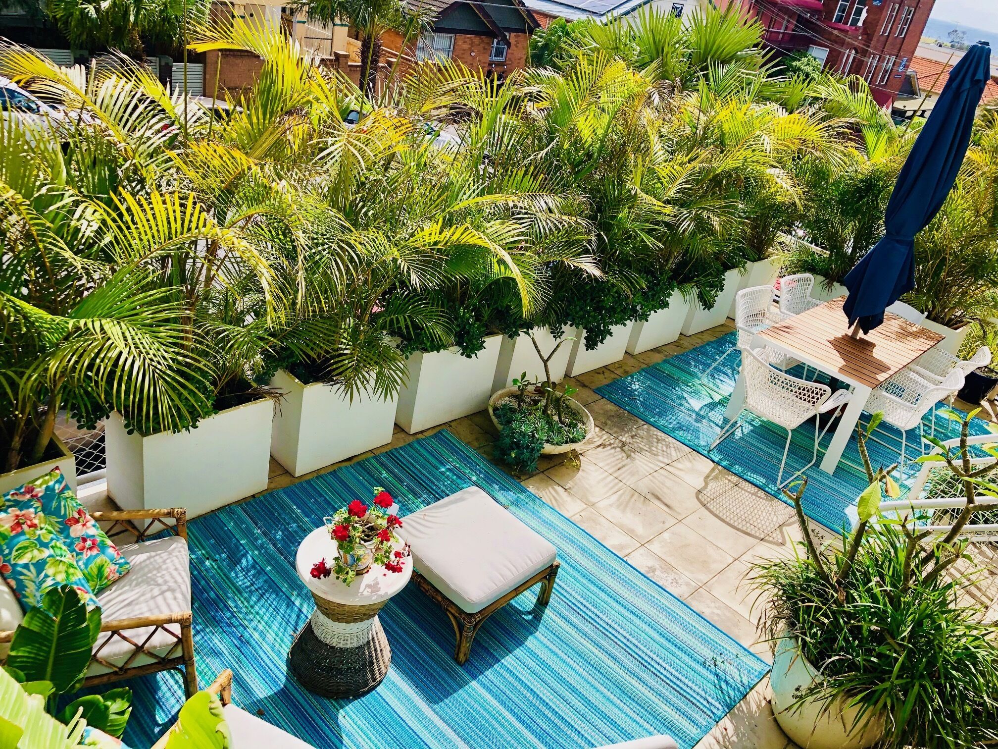 Kookaburra down  — image 4