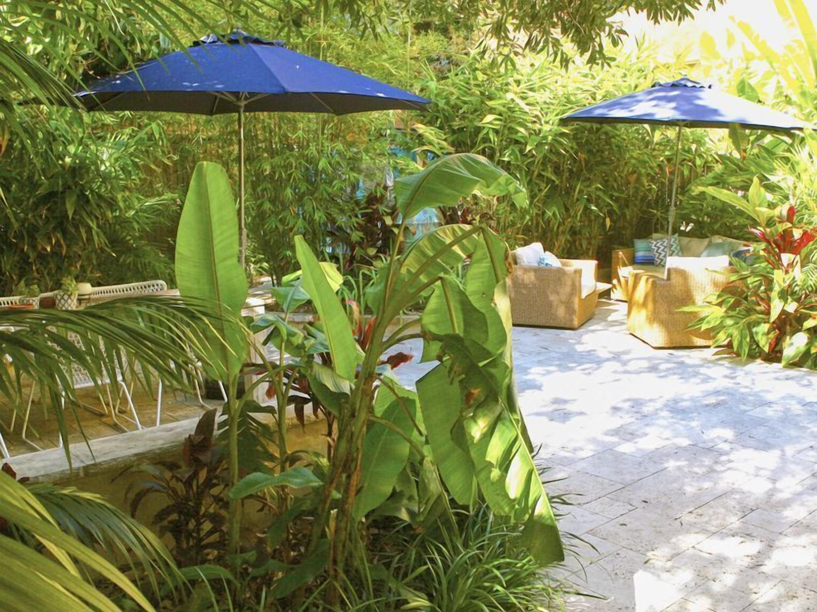 Kookaburra down  — image 17