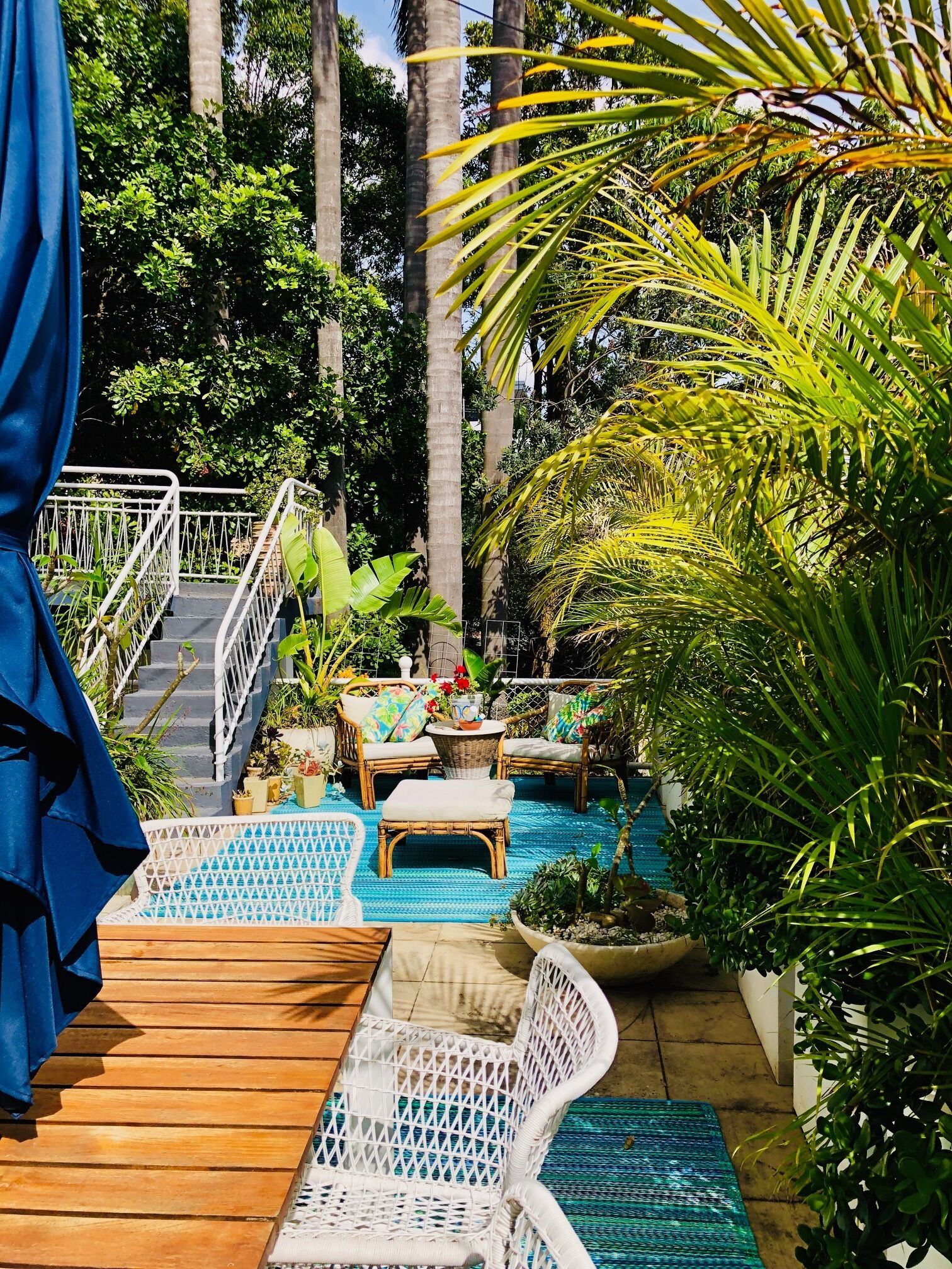 Kookaburra down  — image 14