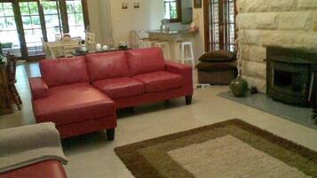 TV, fireplace, DVD player, books