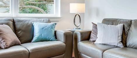 電視、Netflix、串流服務、 辦公室