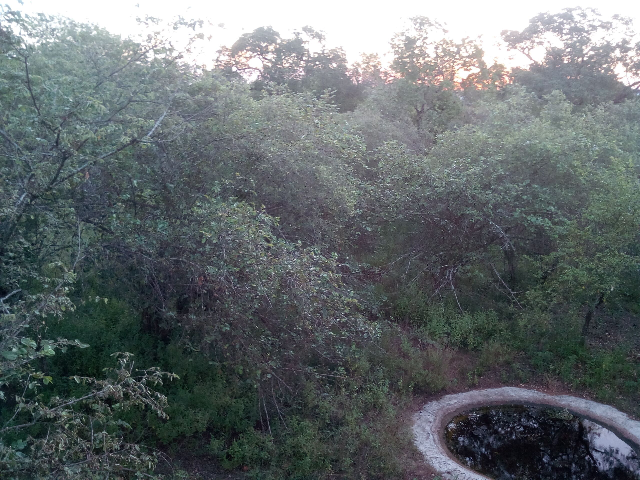 2 Bedroom house in Marloth Park nature reserve