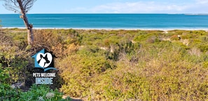 A coastal landscape with dense vegetation and a clear view of the ocean. - 72 Hindmarsh Rd, McCracken - Absolute Beachfront 3BR 2BA Home w/ Beach Track (McCracken)