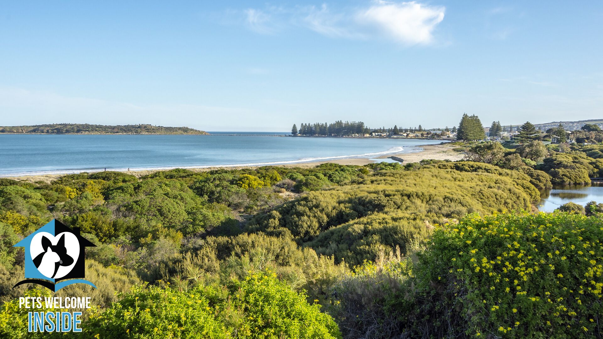 Absolute Beachfront 3BR 2BA Home w/ Beach Track — image 3