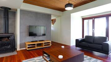 TV, fireplace, DVD player, books