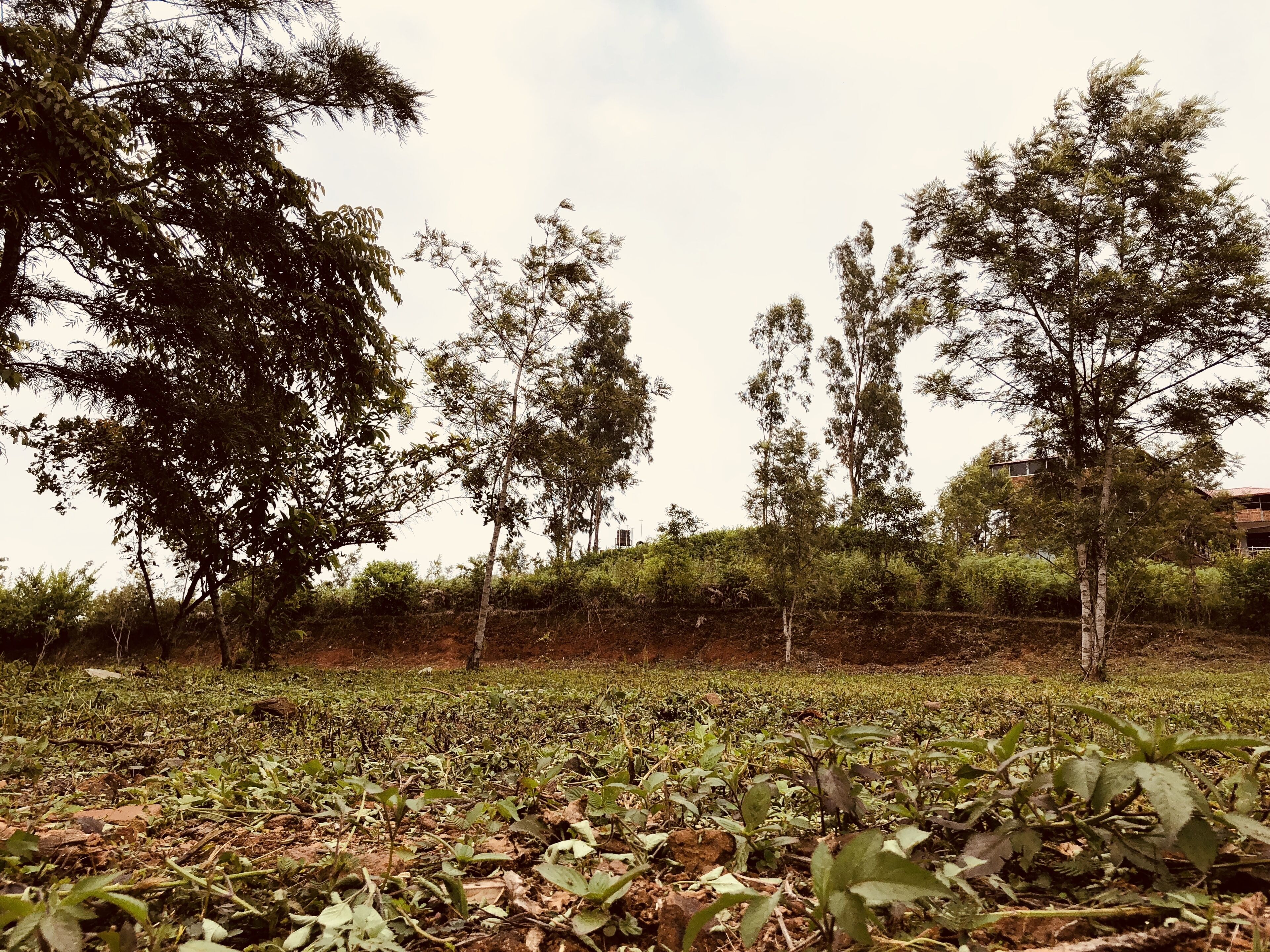 Lakshmi's Home Stay - a home away from home