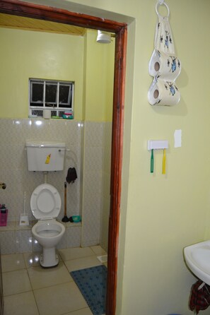 Chuveiro, secador de cabelo, toalhas de banho, papel higiênico