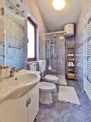 Shower, hair dryer, bidet, towels