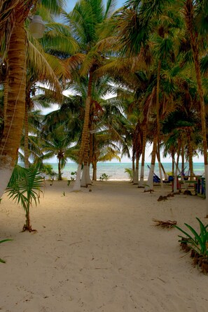 Escape to a serene beach paradise with palm trees providing shade and a stunning ocean view.