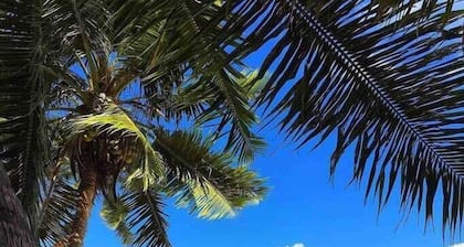 Whispering Palms -3 Absolute Beachfront Villas(EXCLUSIVE USE OF PROPERTY)