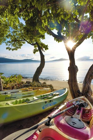 Una playa con kayaks y un árbol que da sombra.