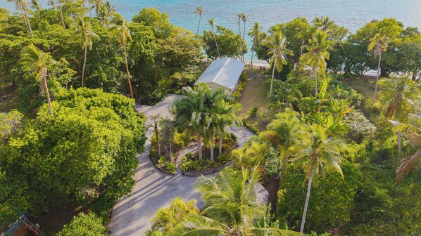 Vista aérea de un resort tropical con un camino pavimentado, palmeras y una playa.