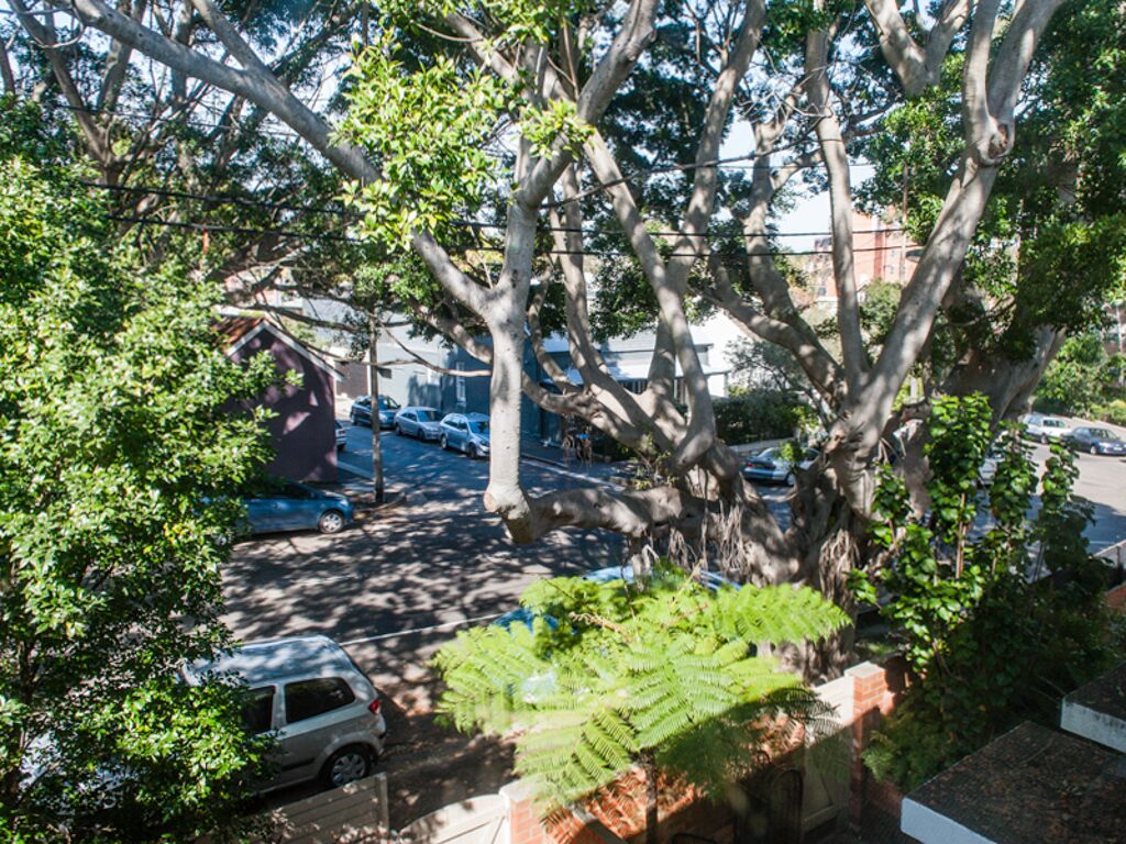 A Provincial Abode in Woollahra — image 16