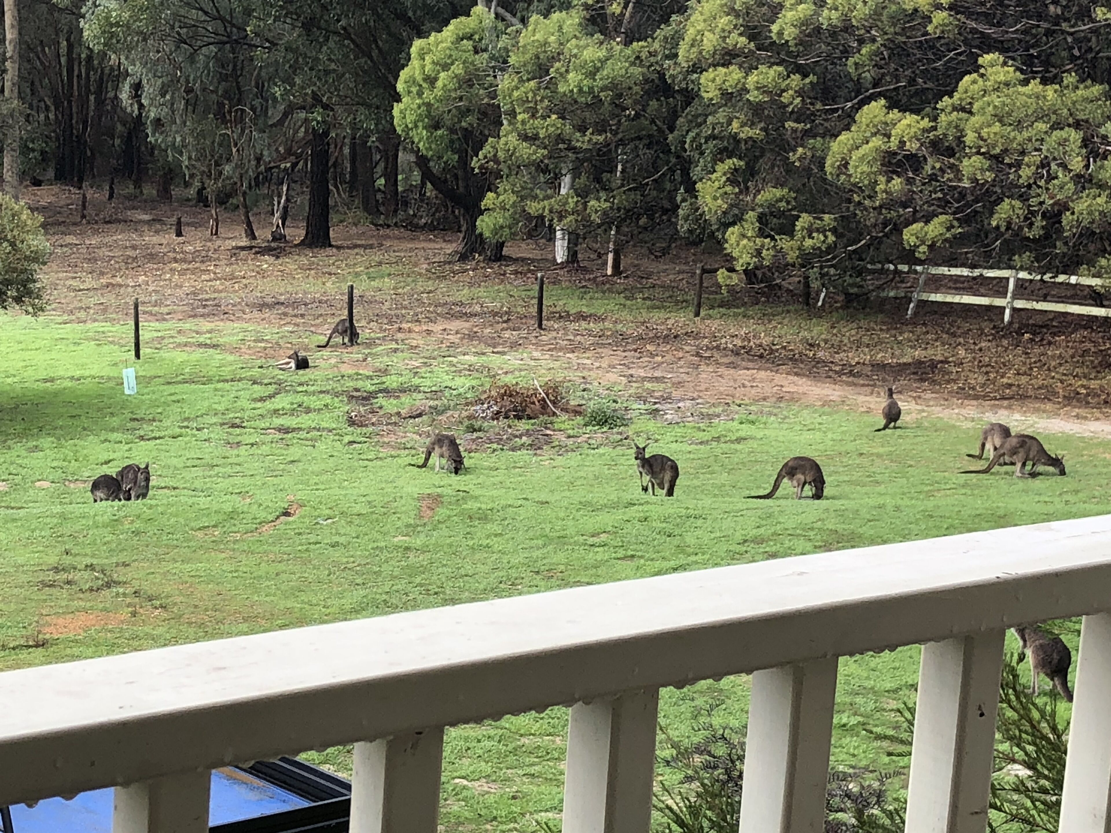 STUNNING HOME YALLINGUP. BEAUTIFUL SURROUNDINGS. WALK IN AND RELAX — image 11