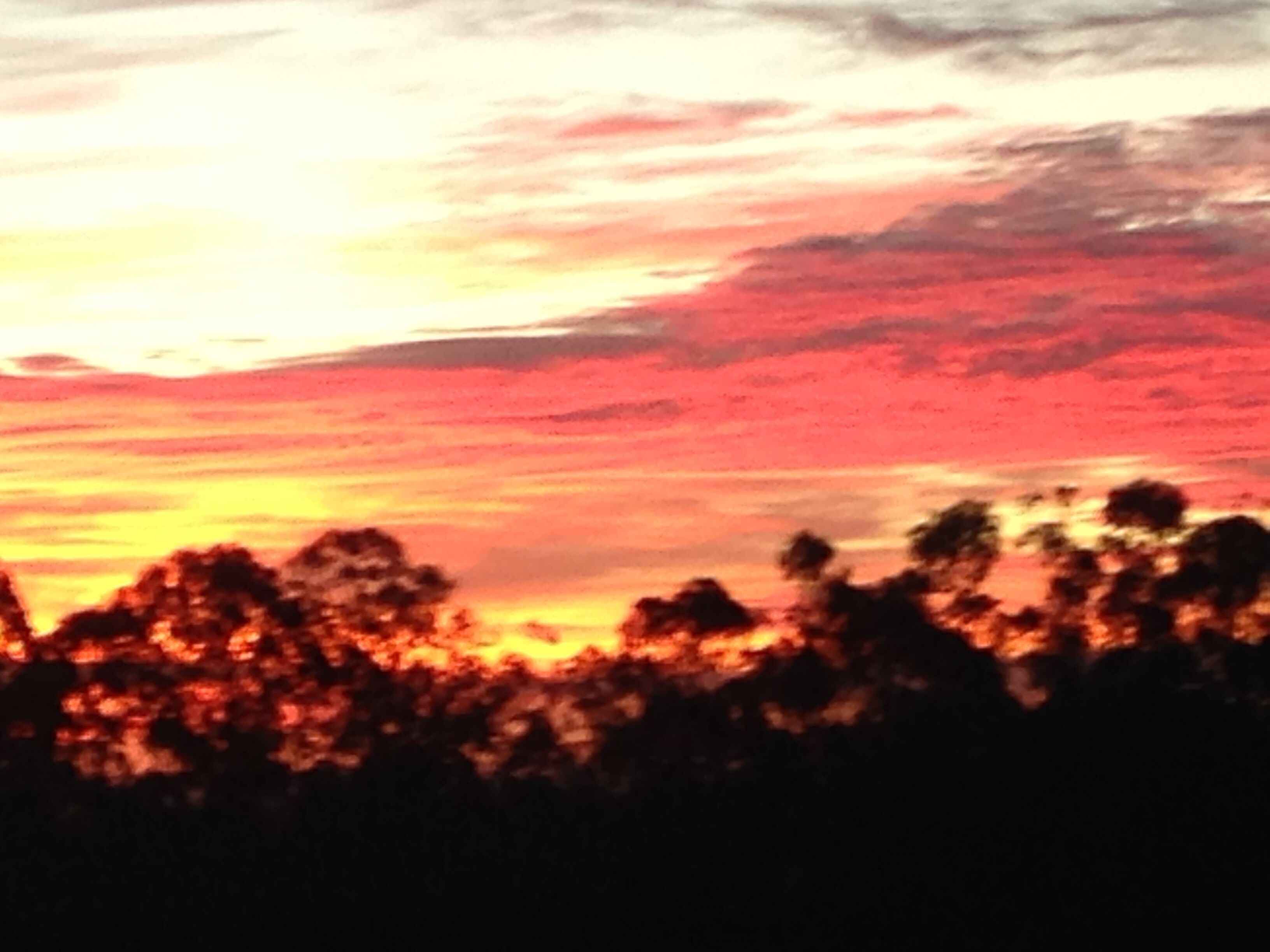 STUNNING HOME YALLINGUP. BEAUTIFUL SURROUNDINGS. WALK IN AND RELAX — image 2