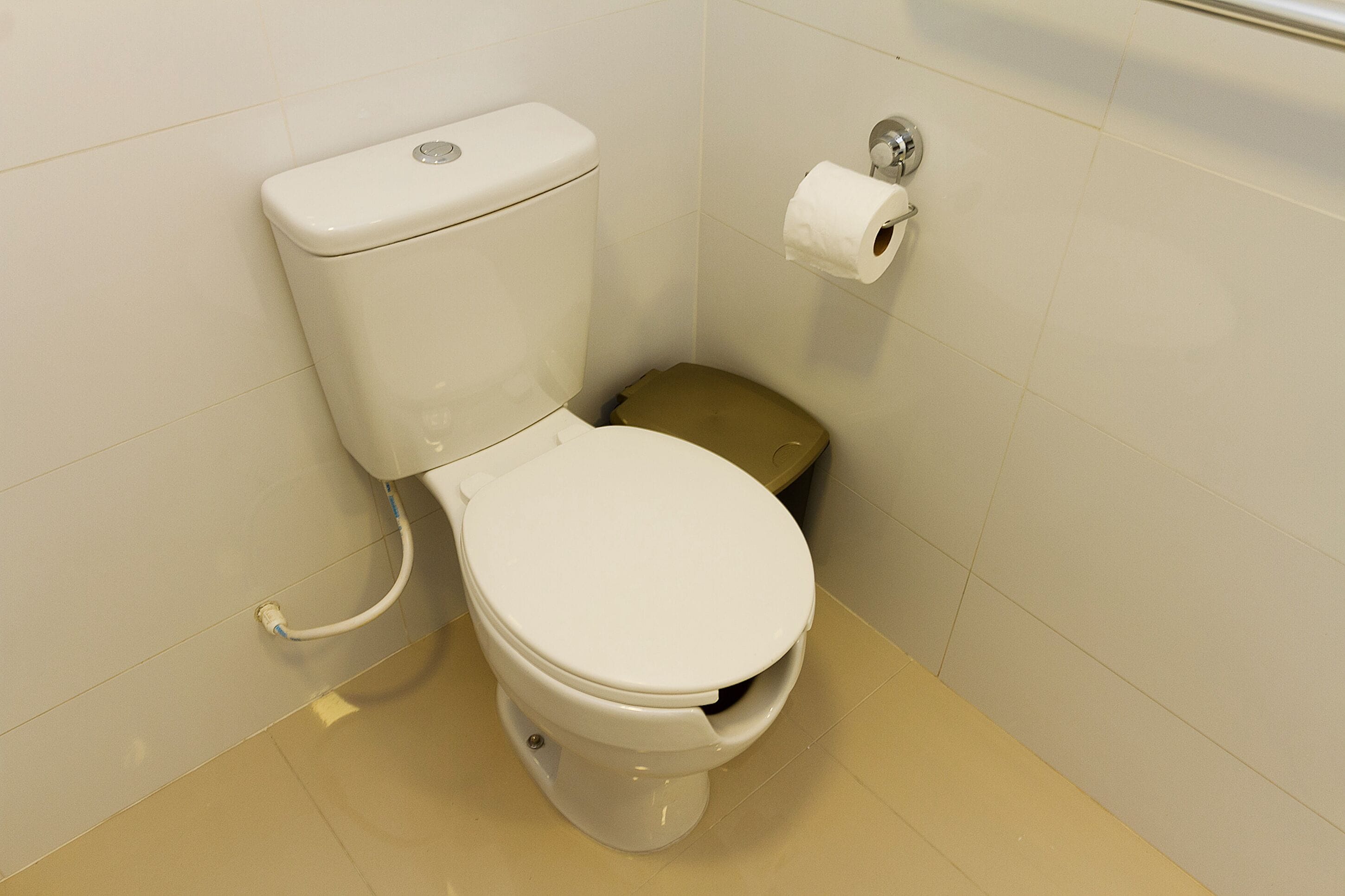 Un water bianco con lo sciacquone beige, un porta carta igienica a parete e un piccolo cestino.