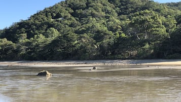Perto da praia, espreguiçadeiras, toalhas de praia