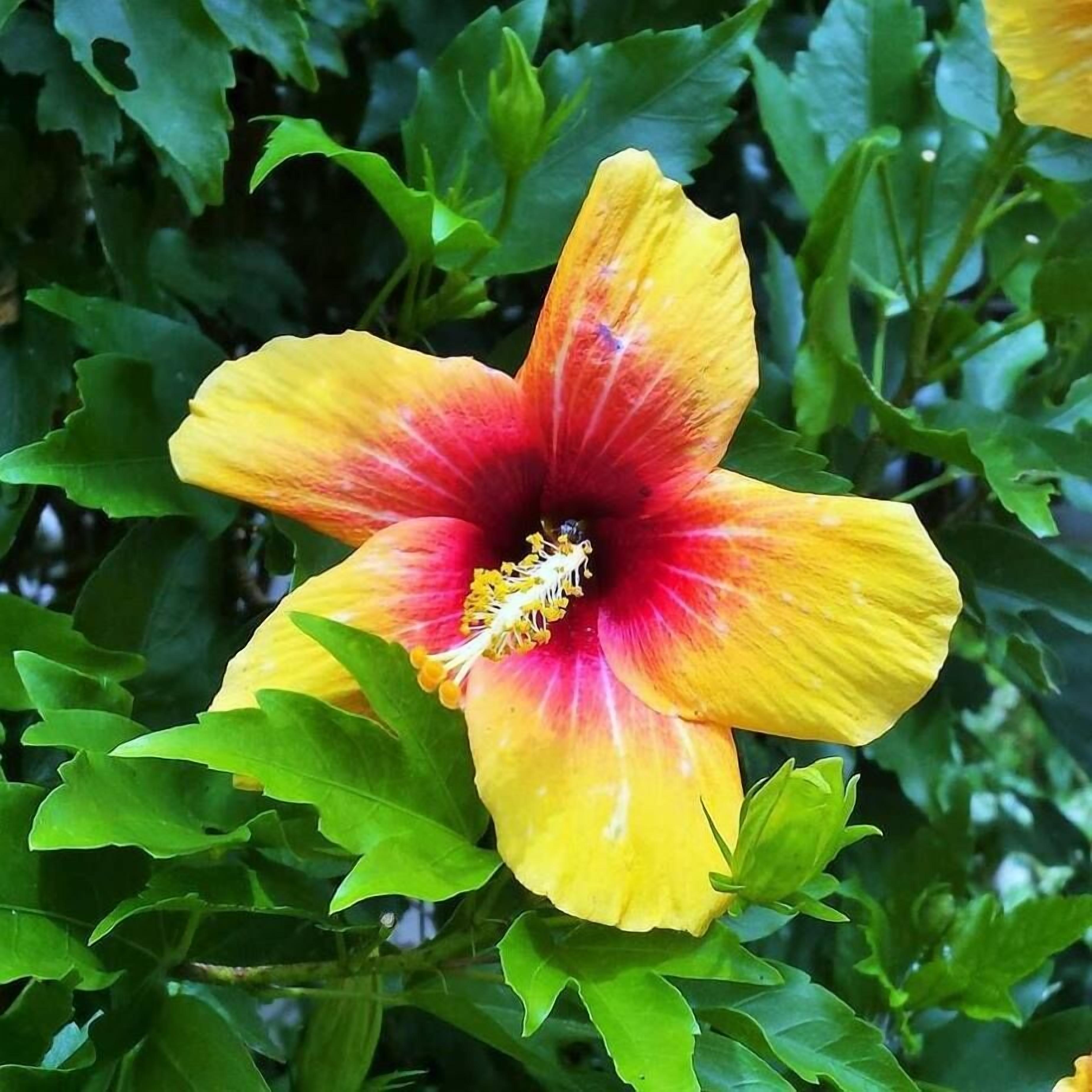 The perfect weekend or weekday get away! — image 21