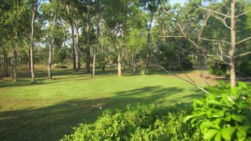 Área da propriedade