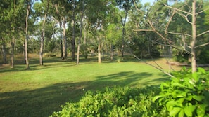 Escape to a serene natural oasis with walking and cycling paths amidst lush greenery.