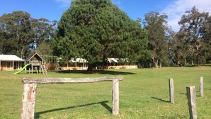 A grassy area with a wooden play structure, a large tree, and a building with a porch.