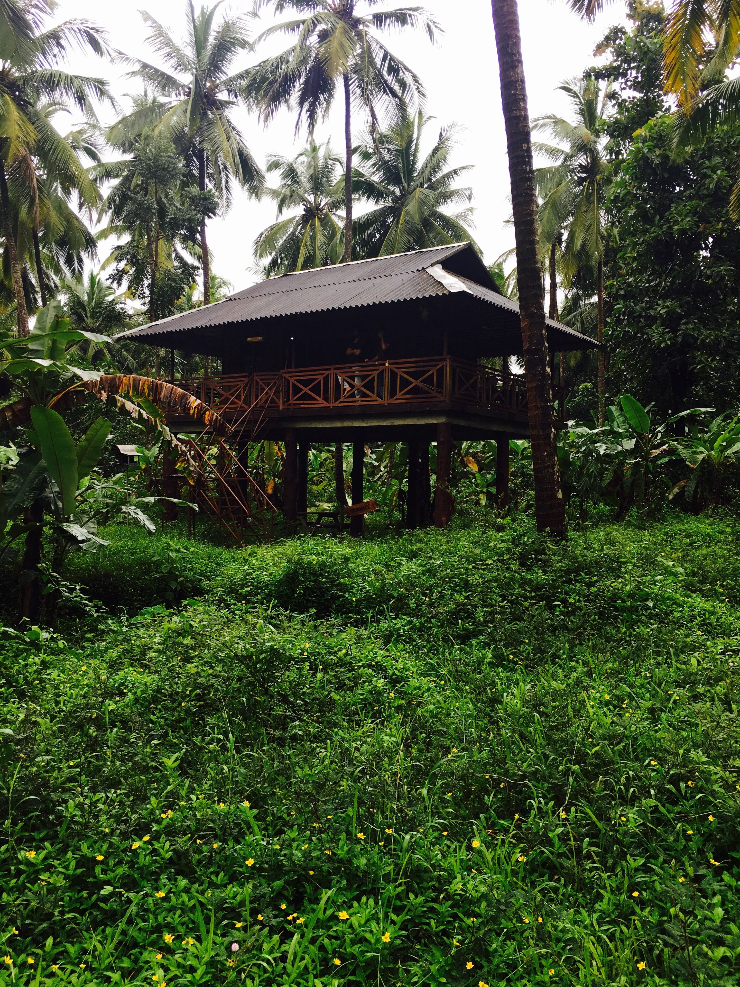 Rejuvenate yourself at Rahut Tree House