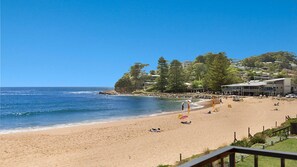 Beach - Sandy Cheeks - Sunny Beachfront Location (AVOCA BEACH)