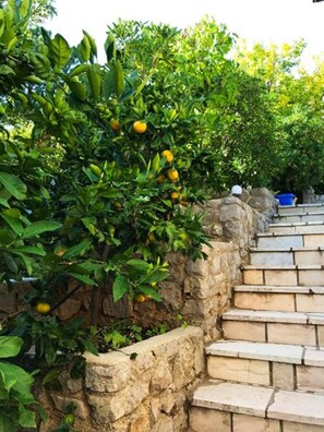 Parco della struttura