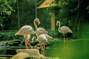 Point of interest - Downtown Retro Serviced Apartment (Ho Chi Minh City)