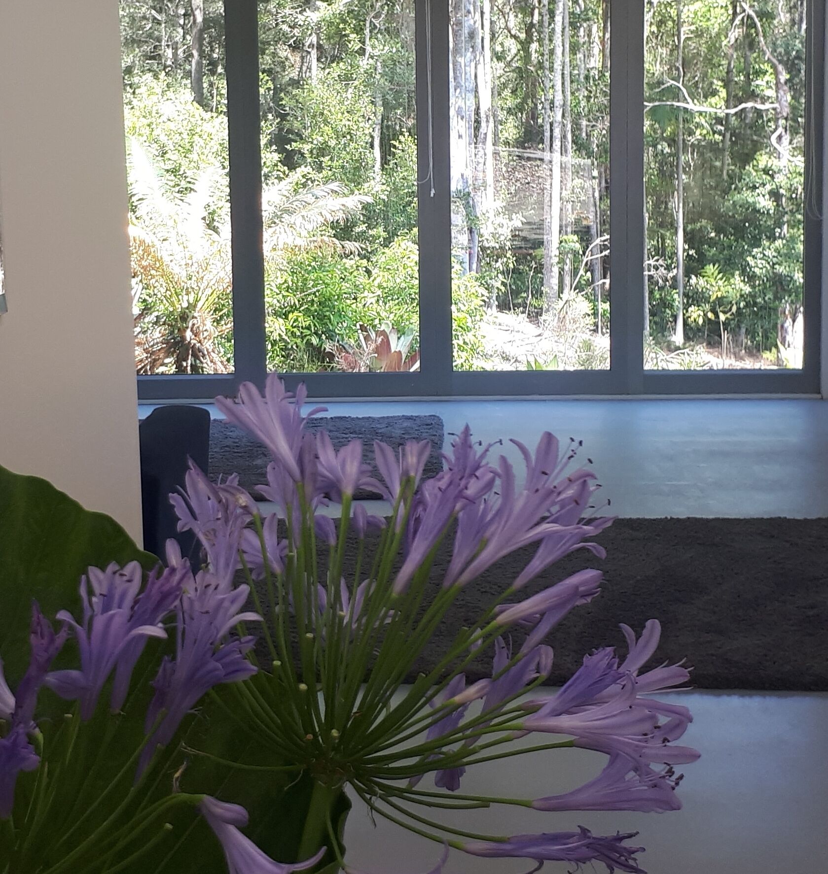 A room with a large window overlooking a forested area.