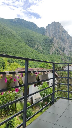 A balcony with a view of a mountainous landscape, a railing, and potted plants with flowers.