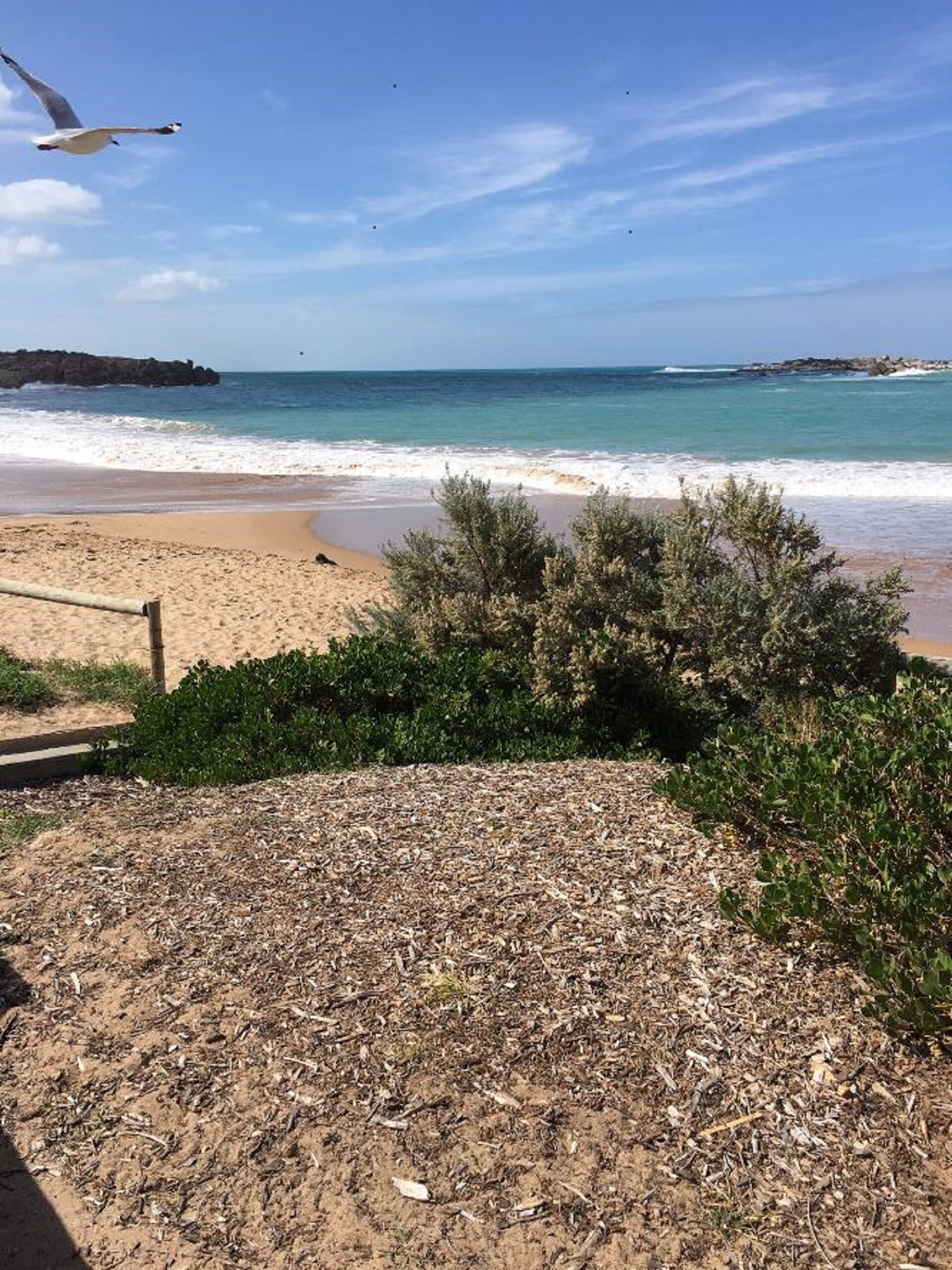 Ikumi - Port Elliot Beach House — image 14