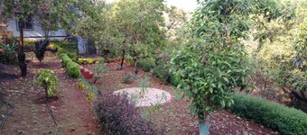 Parijat Holiday Home, Bungalow on hire