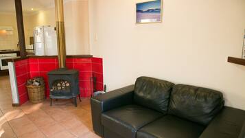 电视、壁炉、DVD 播放器、书