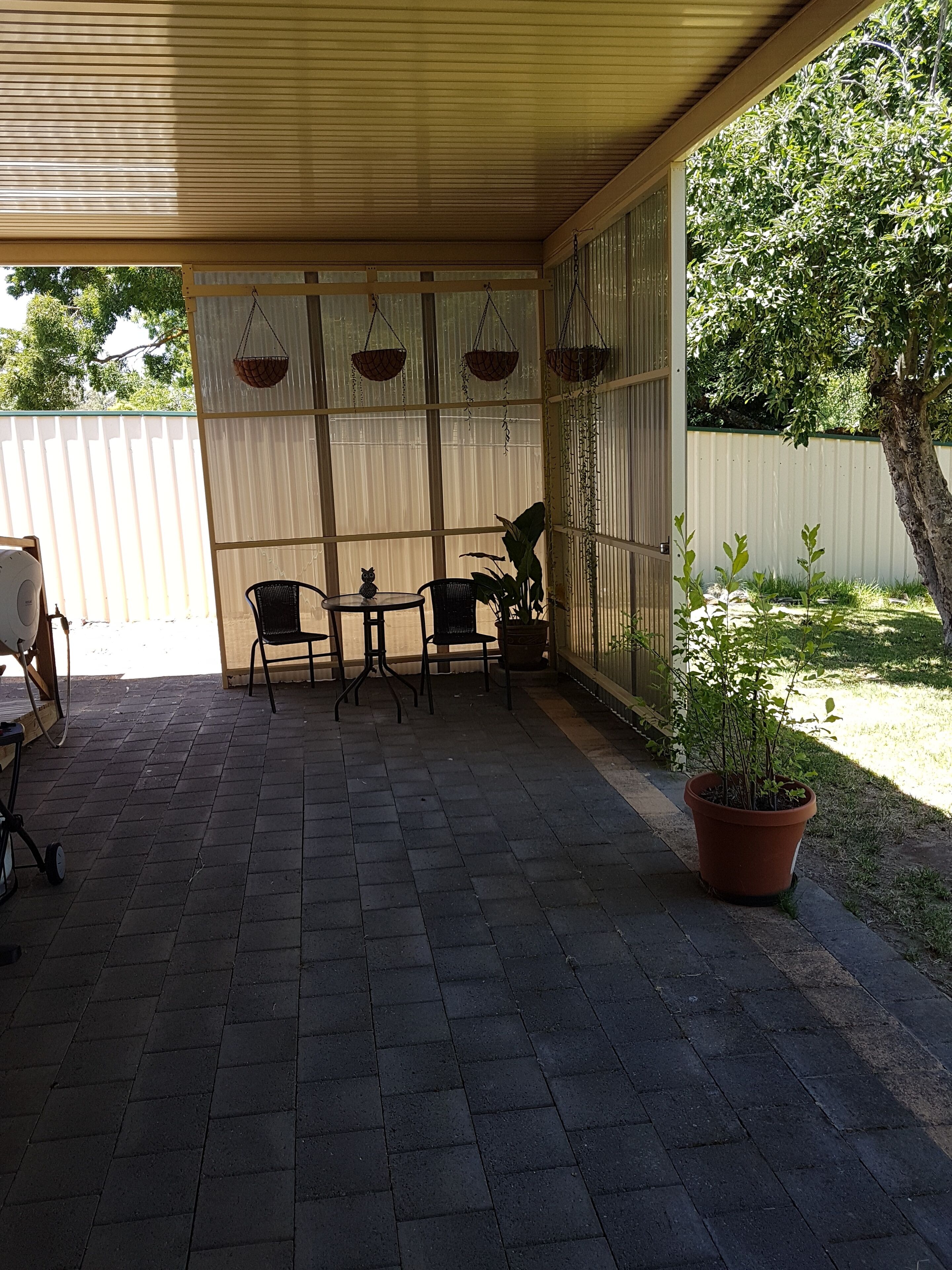 Owl Place in Hahndorf — image 5