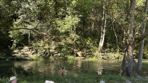 Un cadre paisible au bord d’un lac, avec des chaises Adirondack blanches, une étendue d’eau calme et une végétation luxuriante.