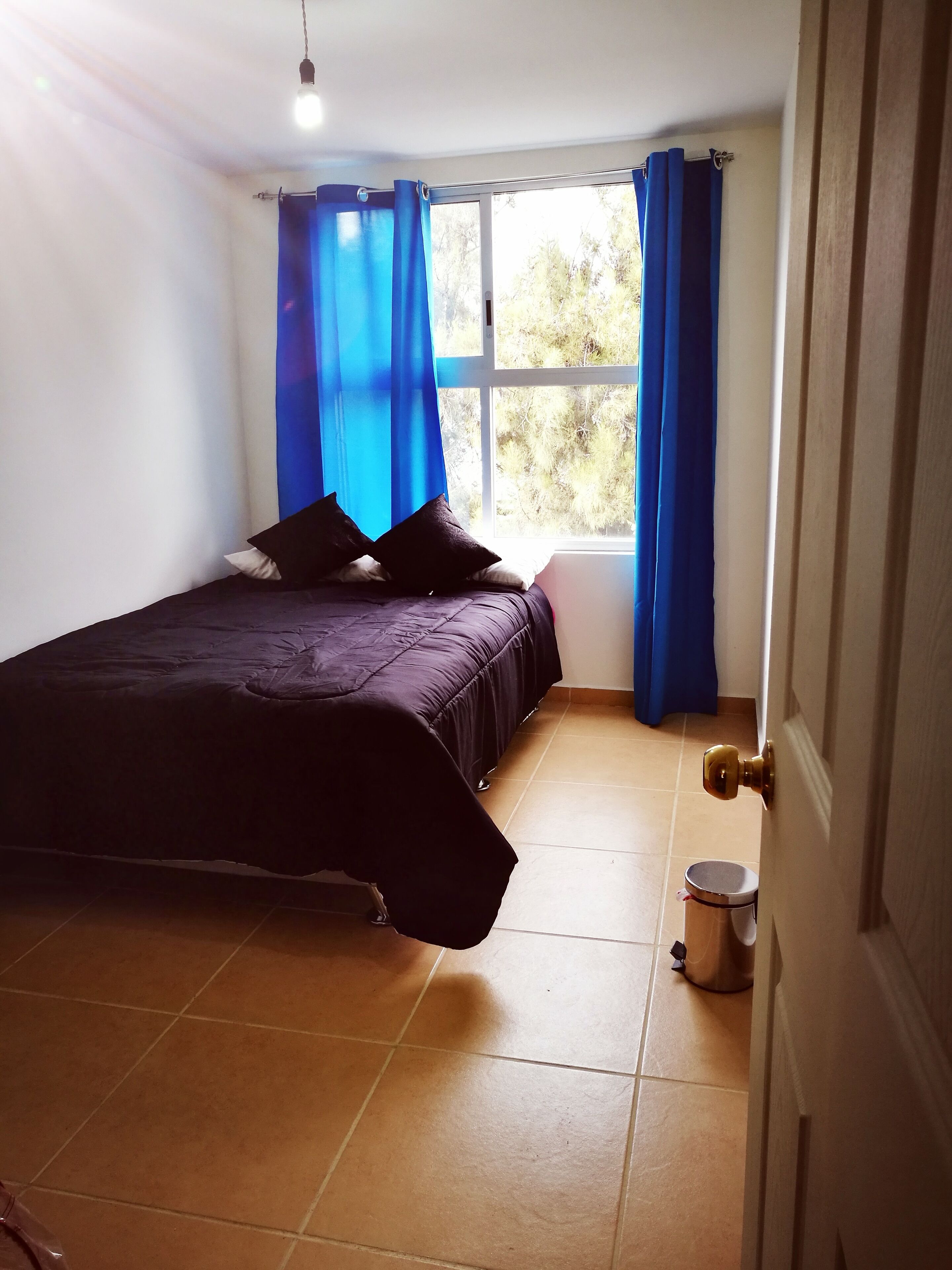 Cozy apartment near Foro Sol and Palacio de los Deportes